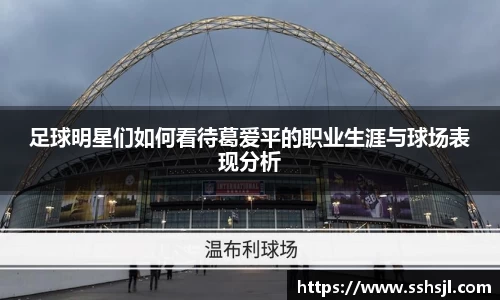 足球明星们如何看待葛爱平的职业生涯与球场表现分析